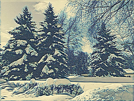 雪景,松树,绘画
