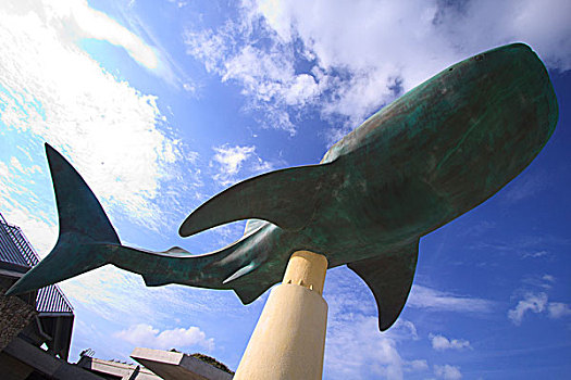 巨大,鲸鲨,雕塑,入口,水族箱,冲绳,日本