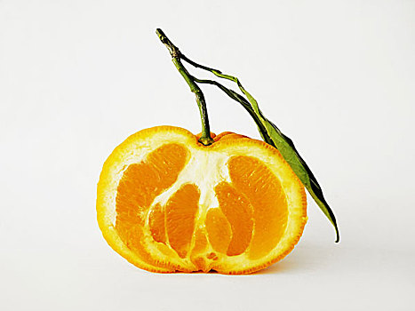 一半,克莱门氏小柑橘,白色背景