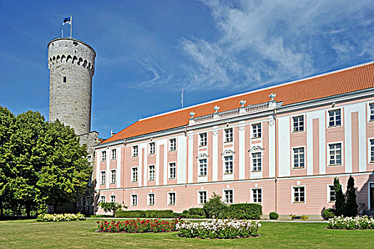 城堡,高,赫尔曼,塔,座椅,爱沙尼亚,议会,塔林,波罗的海国家,北欧
