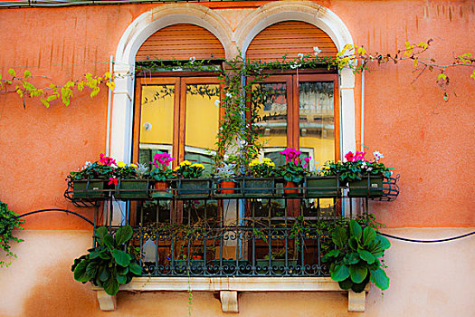 欧洲,意大利,威尼斯,窗台花箱,花,反射,窗户