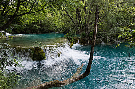 小,瀑布,风景,普利特维察,湖,十六湖国家公园,克罗地亚,欧洲
