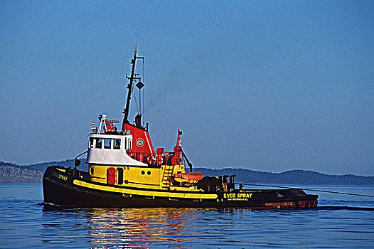 拖船,温哥华岛,不列颠哥伦比亚省,加拿大