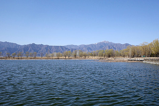 延庆野鸭湖