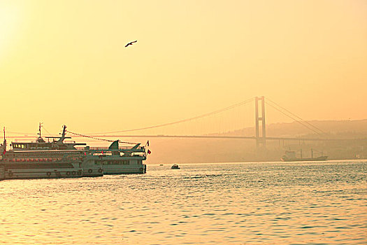 晨光中的伊斯坦布尔大桥