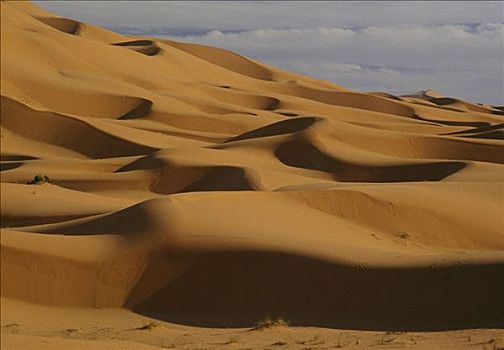 沙漠,沙丘