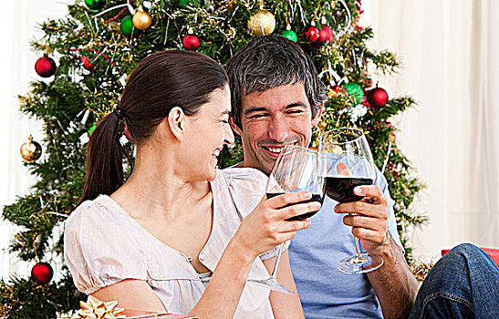 妻子,丈夫,喝,葡萄酒,圣诞时节