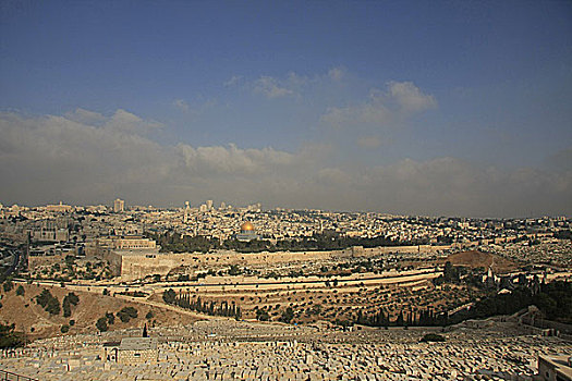 耶路撒冷,以色列,老城,圣殿山,橄榄