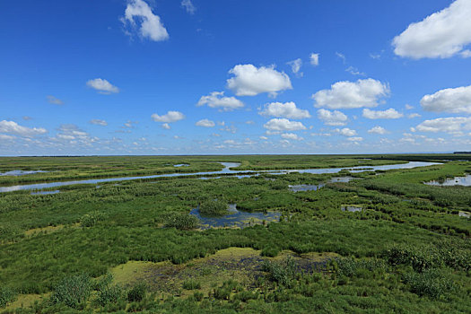 雁窝岛,湿地