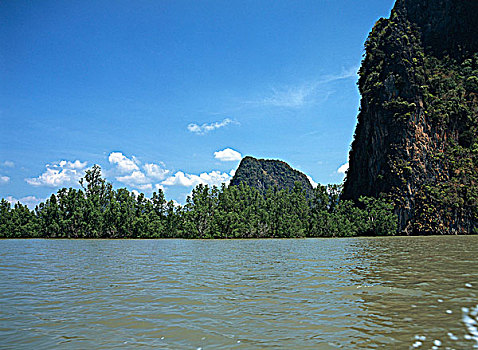 红树林,三角洲,泰国