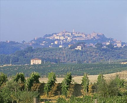 蒙蒂普尔查诺红葡萄酒,托斯卡纳,意大利