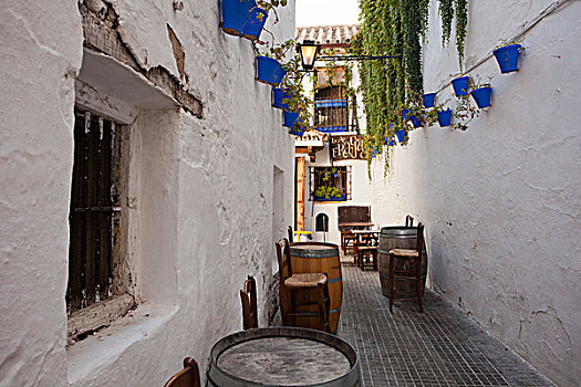 小巷,区域,安达卢西亚,西班牙,欧洲