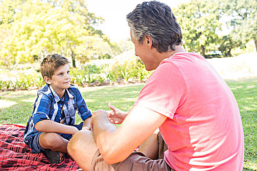 父亲,交谈,儿子,野餐,公园,晴天
