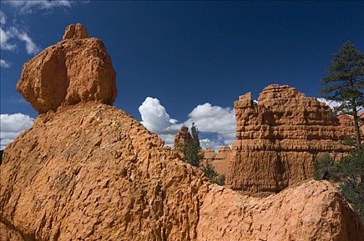 岩石构造,红色,峡谷,犹他,美国