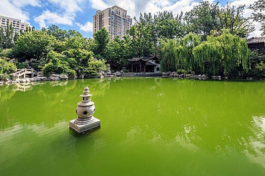 蓝天白云下的池塘风景,中国山东省潍坊市归真园