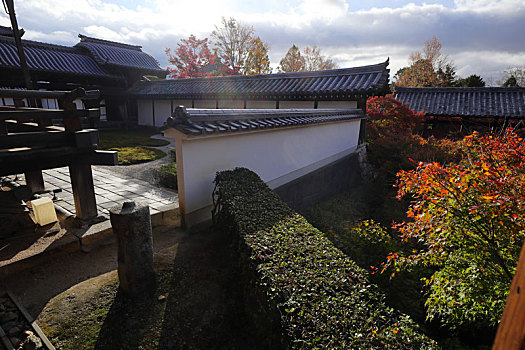 日本京都东福寺