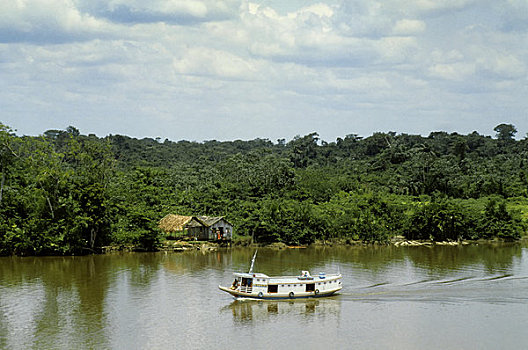 巴西,亚马逊河,三角洲,海岸线,岛屿