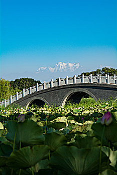 新疆五家渠青湖御园景区