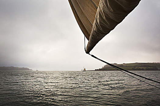 传统,帆船,河,海湾
