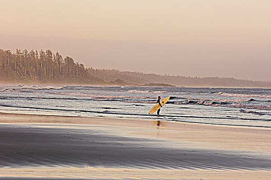 环太平洋国家公园,长滩,冲浪,走,海岸线,温哥华岛,不列颠哥伦比亚省,加拿大