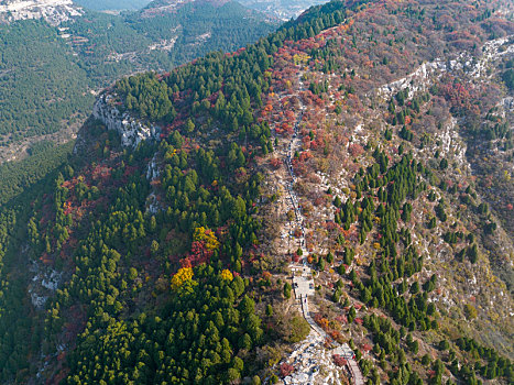 济南蝎子山蚰蜒山红叶