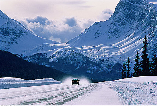 汽车,冰原大道,班芙国家公园,艾伯塔省,加拿大