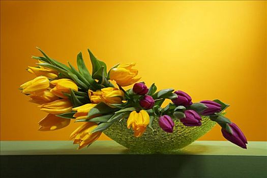 郁金香,花,花瓶