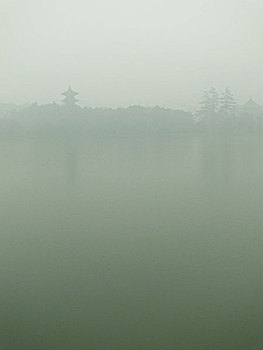 雨雾下的湖水和树林