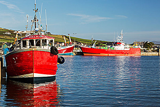红色,渔船,港口,蓝天,凯瑞郡,爱尔兰