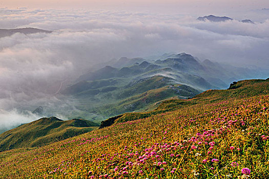 赫章韭菜坪石林风景名胜区