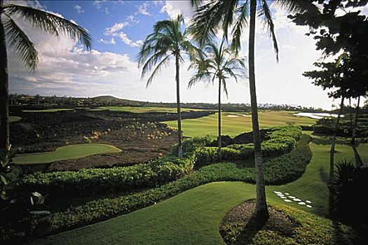夏威夷,高尔夫球场,四季,胜地