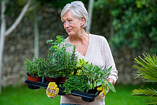 老年,女人,花园,拿着,植物
