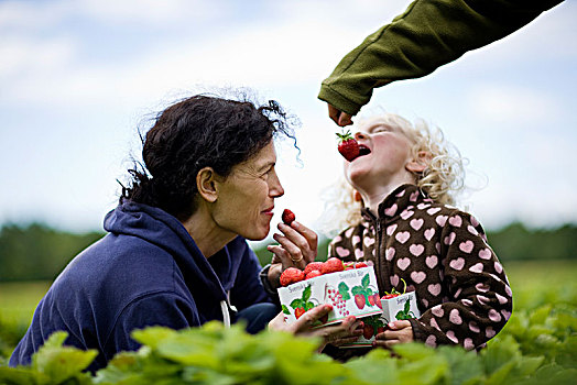 母亲,女儿,吃,草莓,地点,瑞典