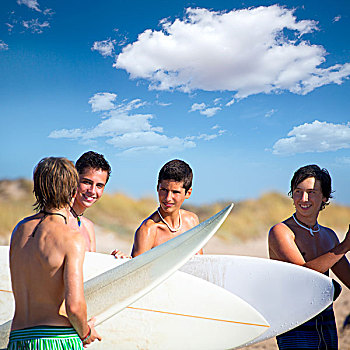 冲浪,青少年,交谈,海滩,岸边,拿着,冲浪板