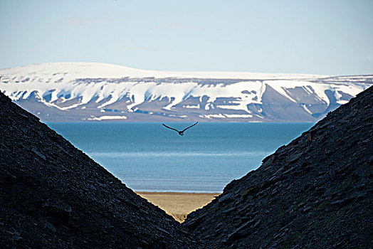 风景,山坡,海滩,北冰洋,积雪,山,蓝天,斯匹次卑尔根岛,斯瓦尔巴特群岛,挪威