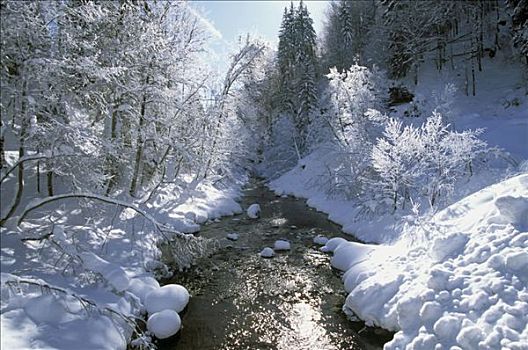 法国,阿尔卑斯山,峡谷,冬天