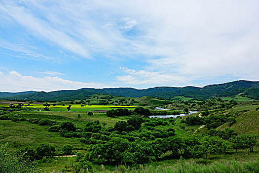 草原,牧场,内蒙古