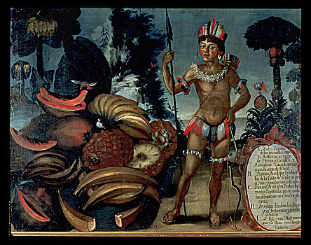 印第安,基多,多样,水果,树,油,18世纪