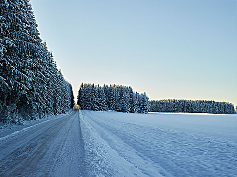 乡间小路,树林,地点,冬天