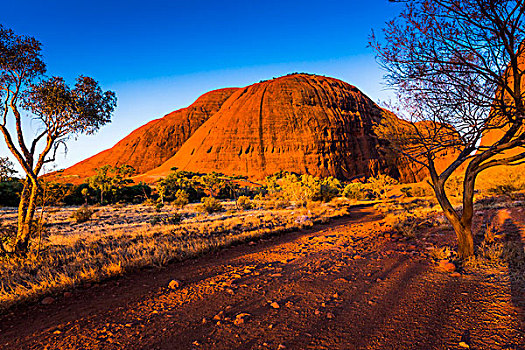 奥尔加,卡塔曲塔,乌卢鲁卡塔曲塔国家公园,北领地州,澳大利亚