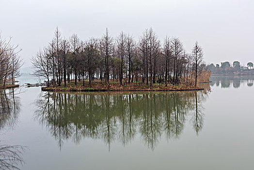 杭州湘湖自然风光水墨湘湖