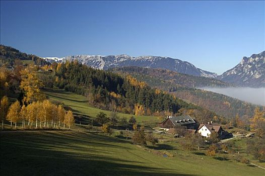秋叶,桦树,农舍,背景,山,下奥地利州
