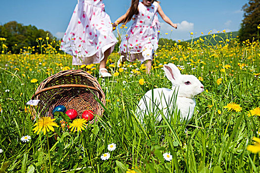 孩子,复活节彩蛋,猎捕,草地,春天,前景,复活节兔子,等待