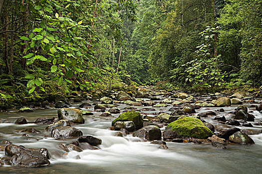 河,低地,雨林,山,公园,沙巴,婆罗洲,马来西亚