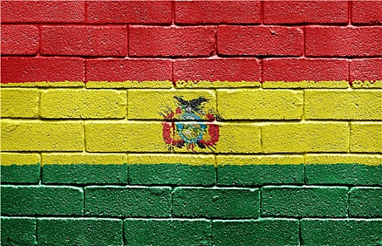旗帜,玻利维亚,涂绘,低劣,砖墙