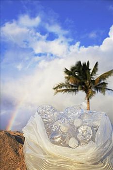 夏威夷,瓦胡岛,水瓶,垃圾,包,海滩