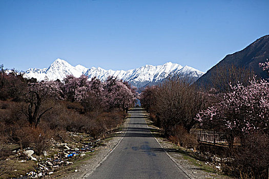 西藏风景