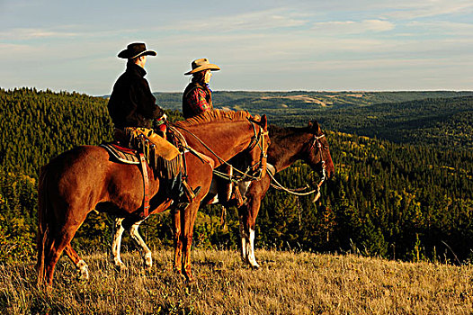 牛仔,女牛仔,坐,马背,远眺,萨斯喀彻温,加拿大,北美