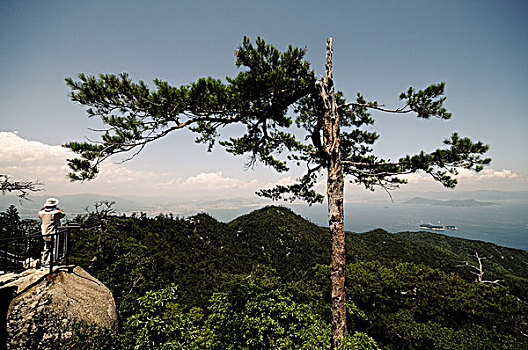 风景,濑户内海