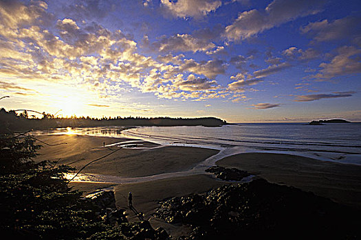海滩,日出,中间,住宿,温哥华岛,不列颠哥伦比亚省,加拿大